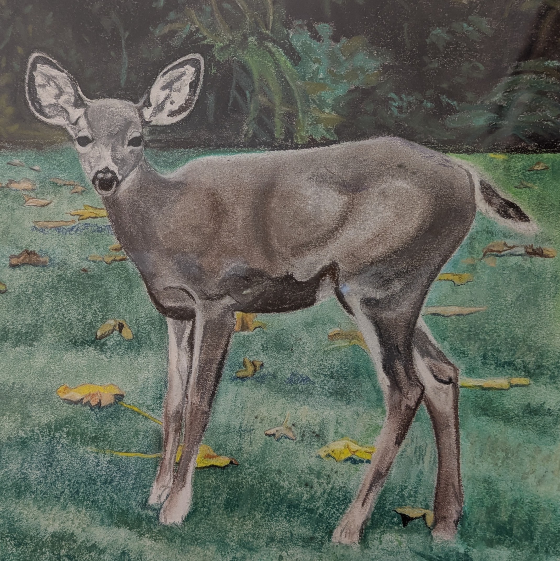 Soft Pastels: Nature Studies
